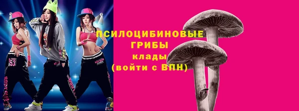 MDMA Краснослободск
