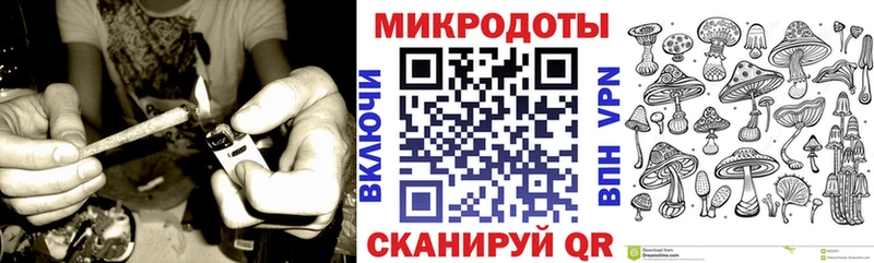 Галлюциногенные грибы Psilocybe  купить   Томари 