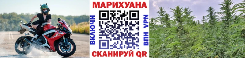 блэк спрут вход  Томари  Конопля ГИДРОПОН 